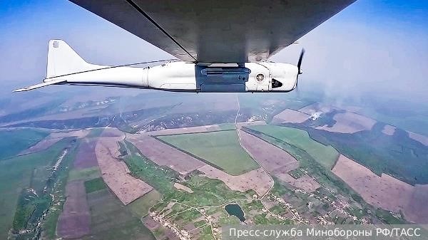 Какая должна быть оптимальная высота травы на участке?