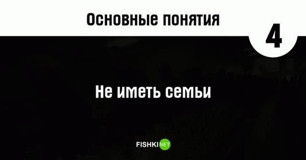  Из вышеуказанных законов вытекают дополнительные законы. Иногда их называют «понятиями».