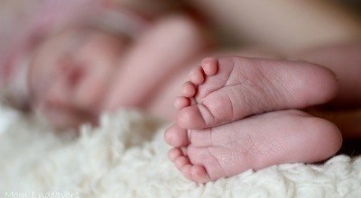 Сроки и стоимость прописки новорожденного через госуслуги