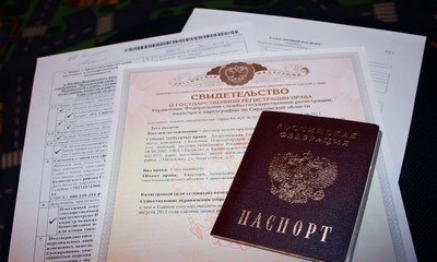 Как оформить земельный участок в собственность без документов: пошаговая инструкция