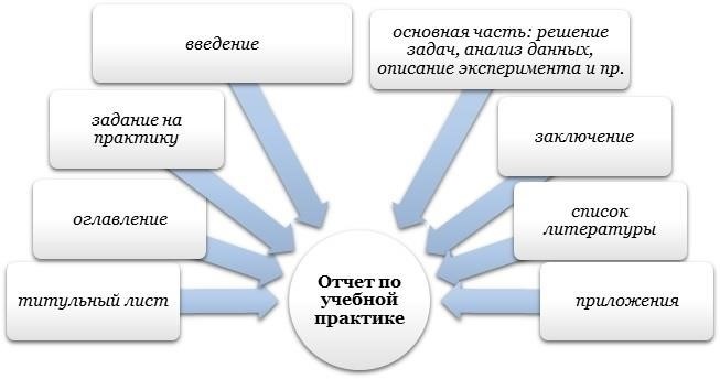 Практика на первом курсе: миф или реальность?