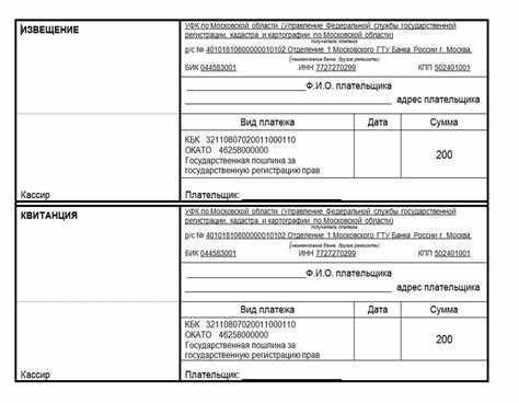 Подача частных жалоб в кассацию: судебный порядок и госпошлина