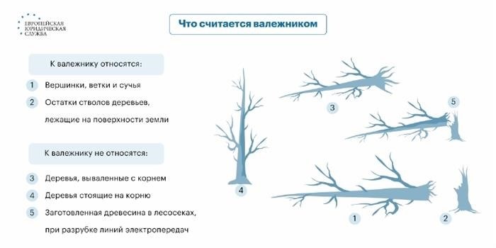 Как рассчитать ущерб за вырубленные насаждения