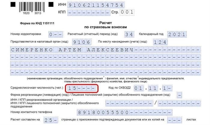 Особенности отражения среднесписочной численности в отчетности